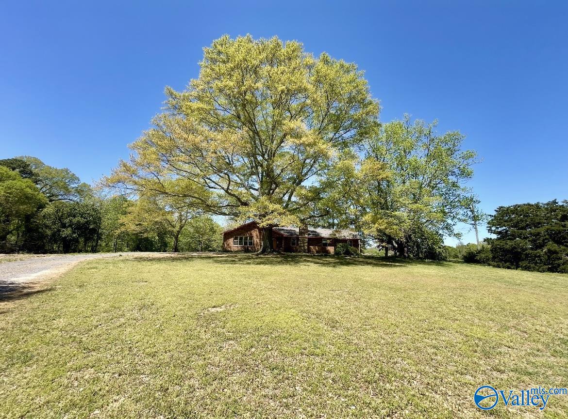 991 Shoal Creek Road, Arab, Alabama image 7