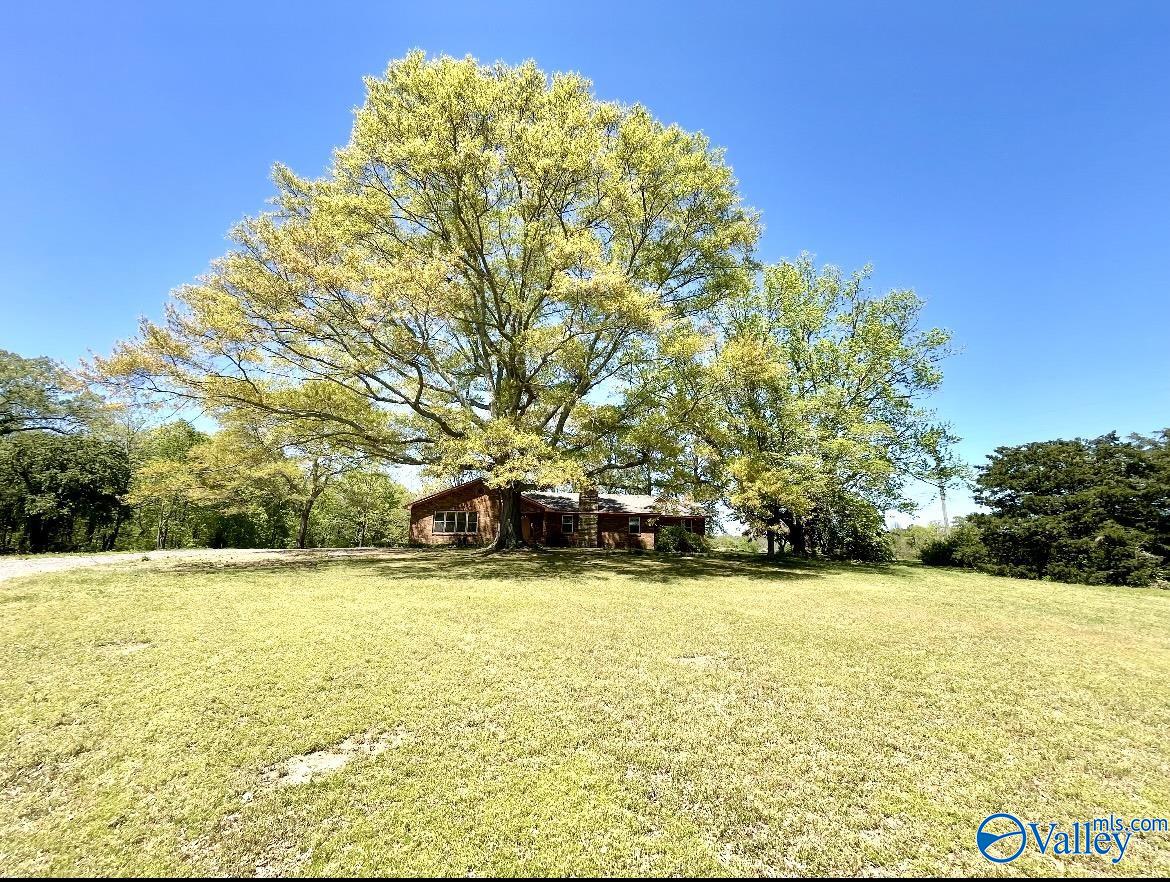 991 Shoal Creek Road, Arab, Alabama image 2