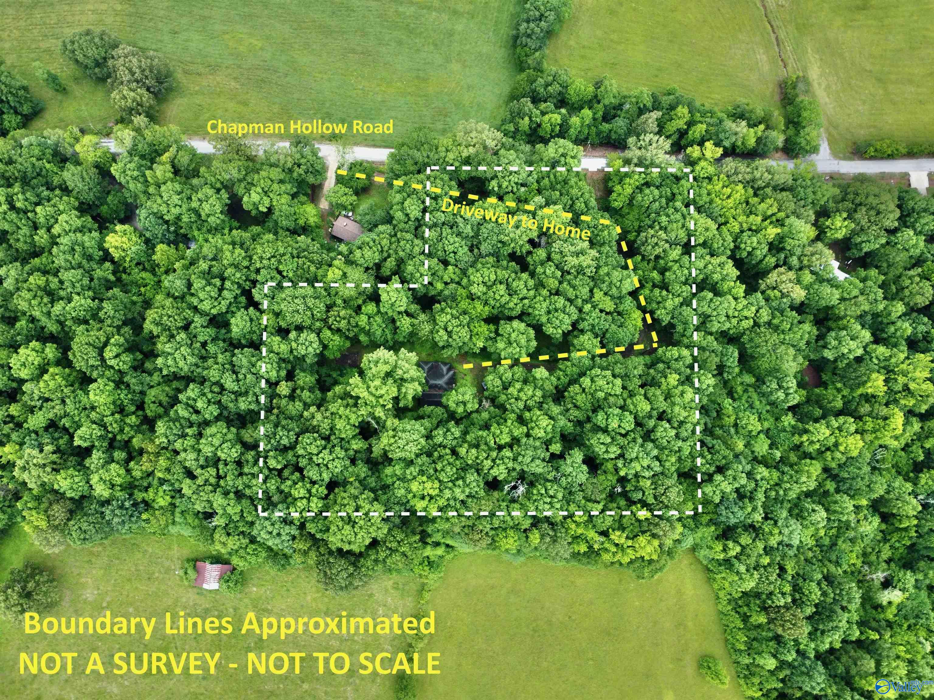 24792 Chapman Hollow Road, Elkmont, Alabama image 17