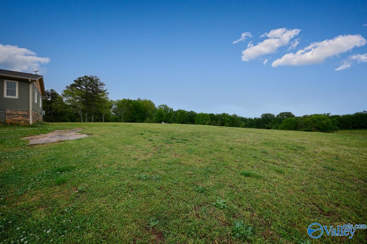4050 Snake Road, Athens, Alabama image 37