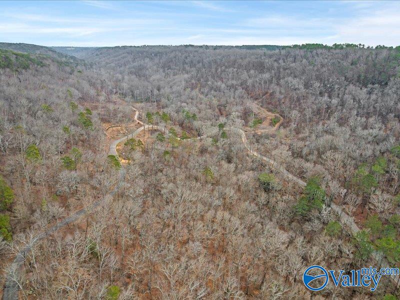 130 Acres Wyeth Drive, Guntersville, Alabama image 21