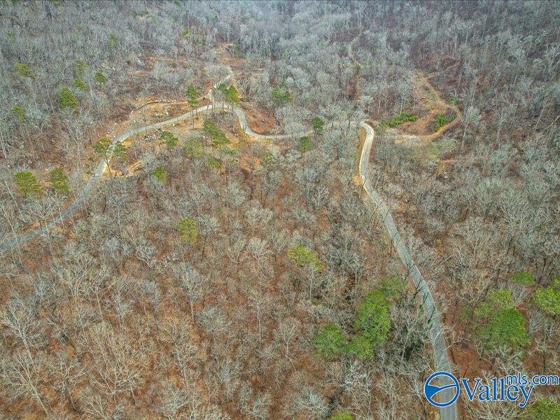 130 Acres Wyeth Drive, Guntersville, Alabama image 17