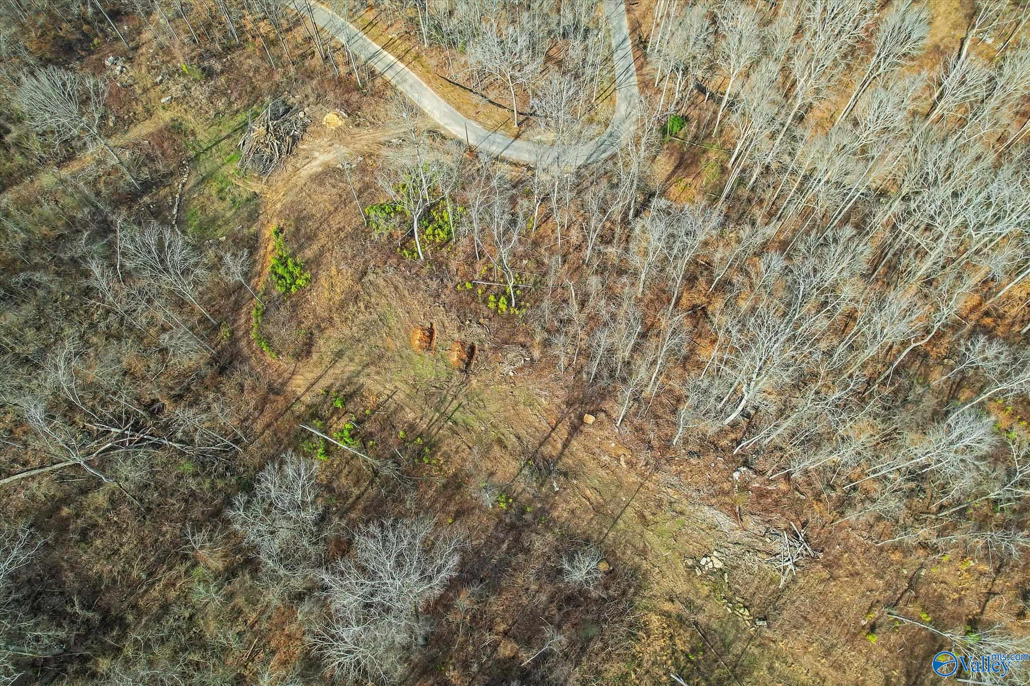 130 Acres Wyeth Drive, Guntersville, Alabama image 8