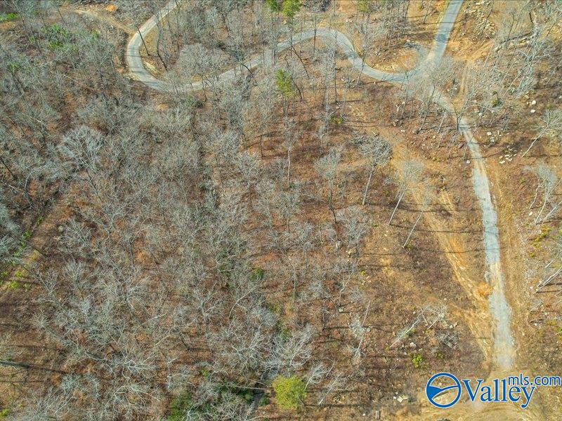 130 Acres Wyeth Drive, Guntersville, Alabama image 13