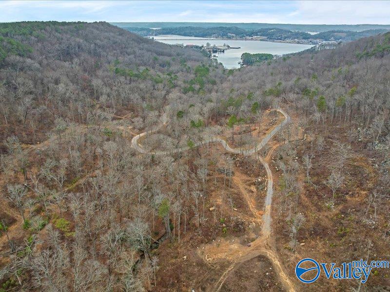 130 Acres Wyeth Drive, Guntersville, Alabama image 35