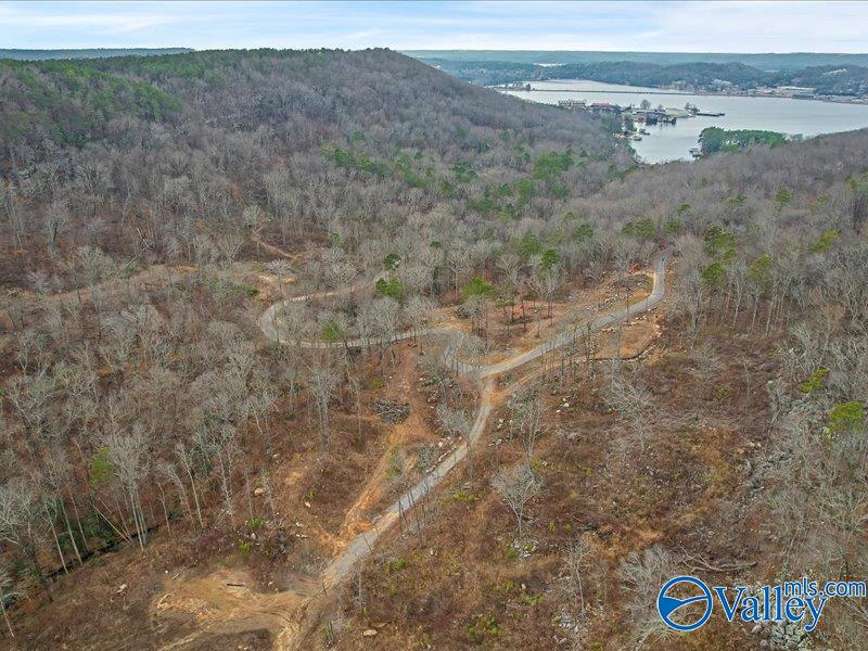 130 Acres Wyeth Drive, Guntersville, Alabama image 33