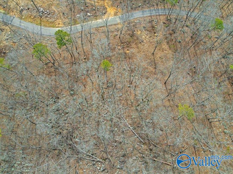 130 Acres Wyeth Drive, Guntersville, Alabama image 9