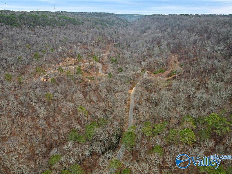 130 Acres Wyeth Drive, Guntersville, Alabama image 29