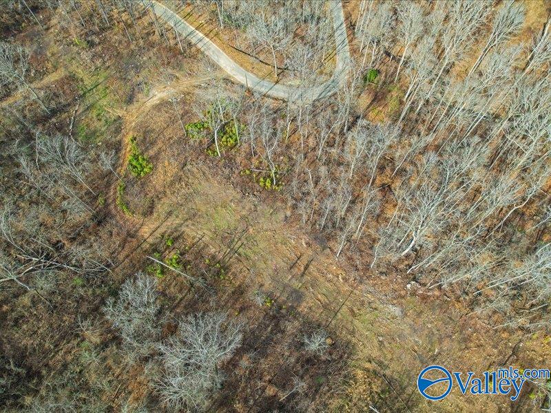 130 Acres Wyeth Drive, Guntersville, Alabama image 7