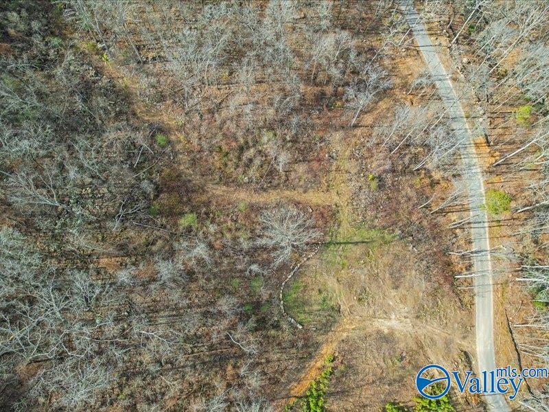 130 Acres Wyeth Drive, Guntersville, Alabama image 5