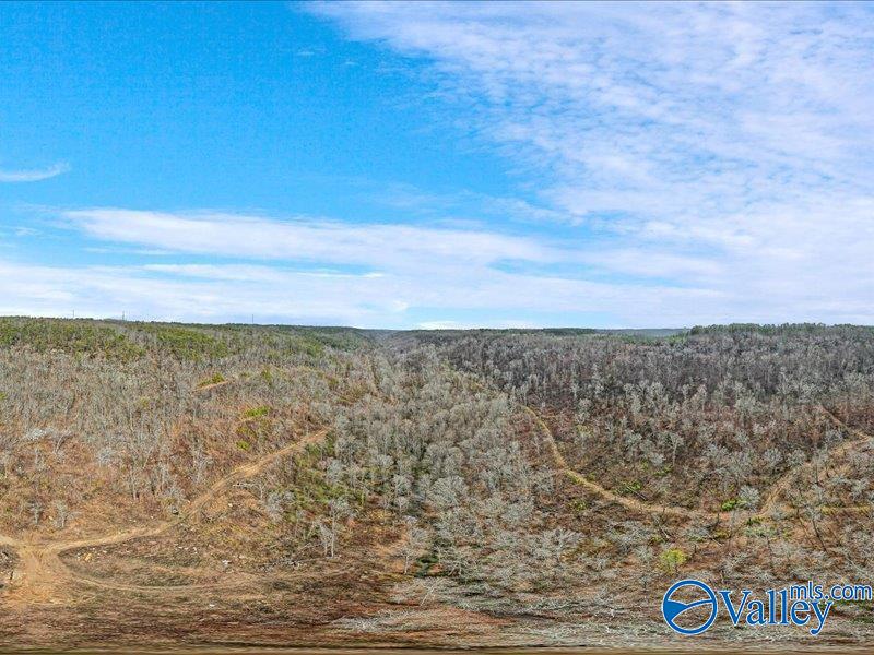 130 Acres Wyeth Drive, Guntersville, Alabama image 1