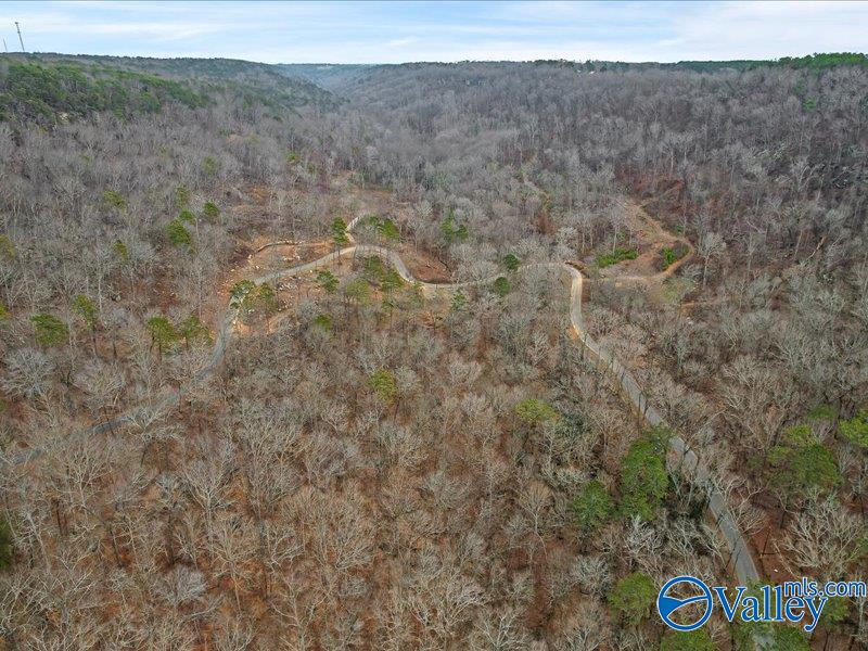 130 Acres Wyeth Drive, Guntersville, Alabama image 27