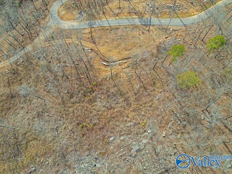 130 Acres Wyeth Drive, Guntersville, Alabama image 11