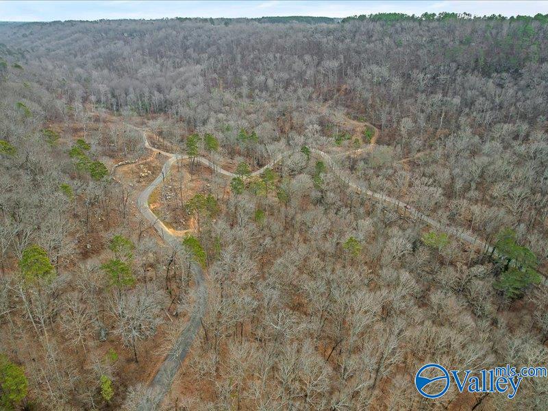 130 Acres Wyeth Drive, Guntersville, Alabama image 23