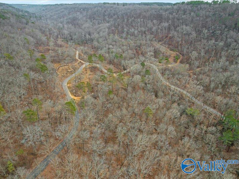 130 Acres Wyeth Drive, Guntersville, Alabama image 25