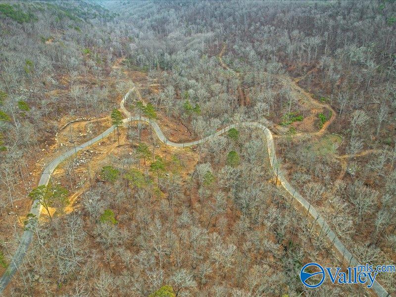 130 Acres Wyeth Drive, Guntersville, Alabama image 15