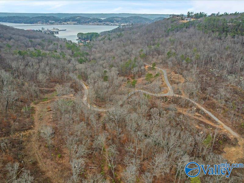 130 Acres Wyeth Drive, Guntersville, Alabama image 31