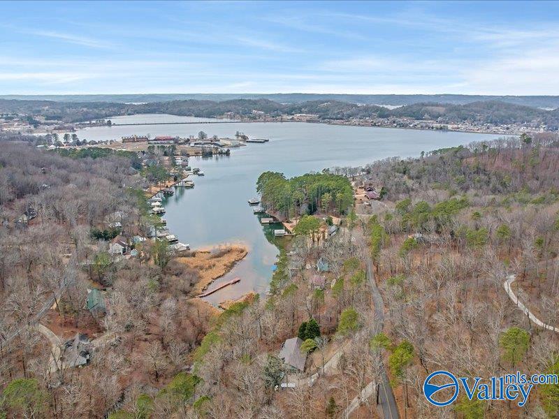 130 Acres Wyeth Drive, Guntersville, Alabama image 19