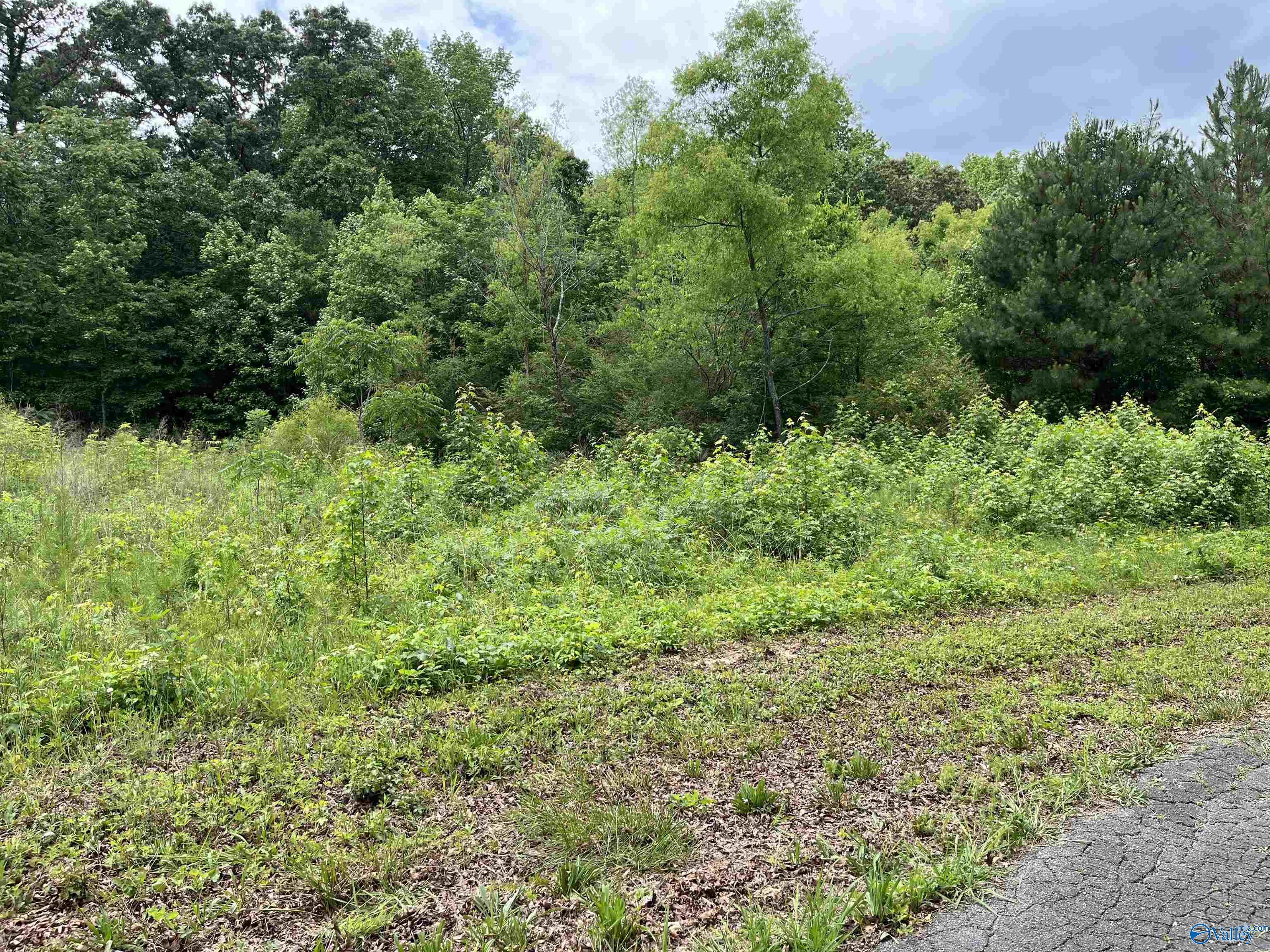 Lot #14 Country Cove Road, Crossville, Alabama image 1