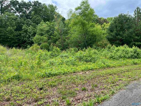 Vacant Land For Sale - LOT #14 Country Cove Road<br/> Crossville, AL 35962