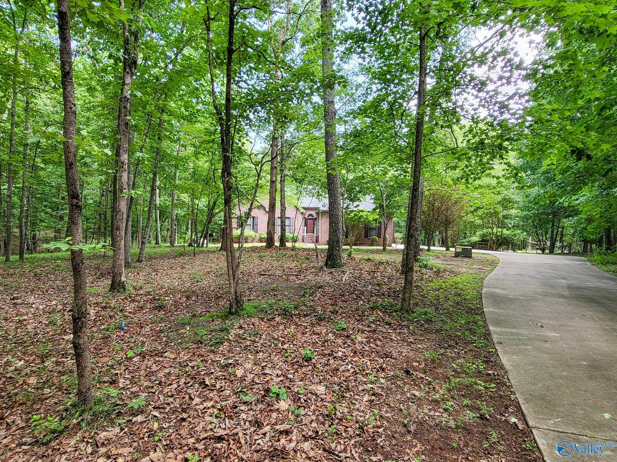 15098 Wade Point Road, Huntsville, Alabama image 2