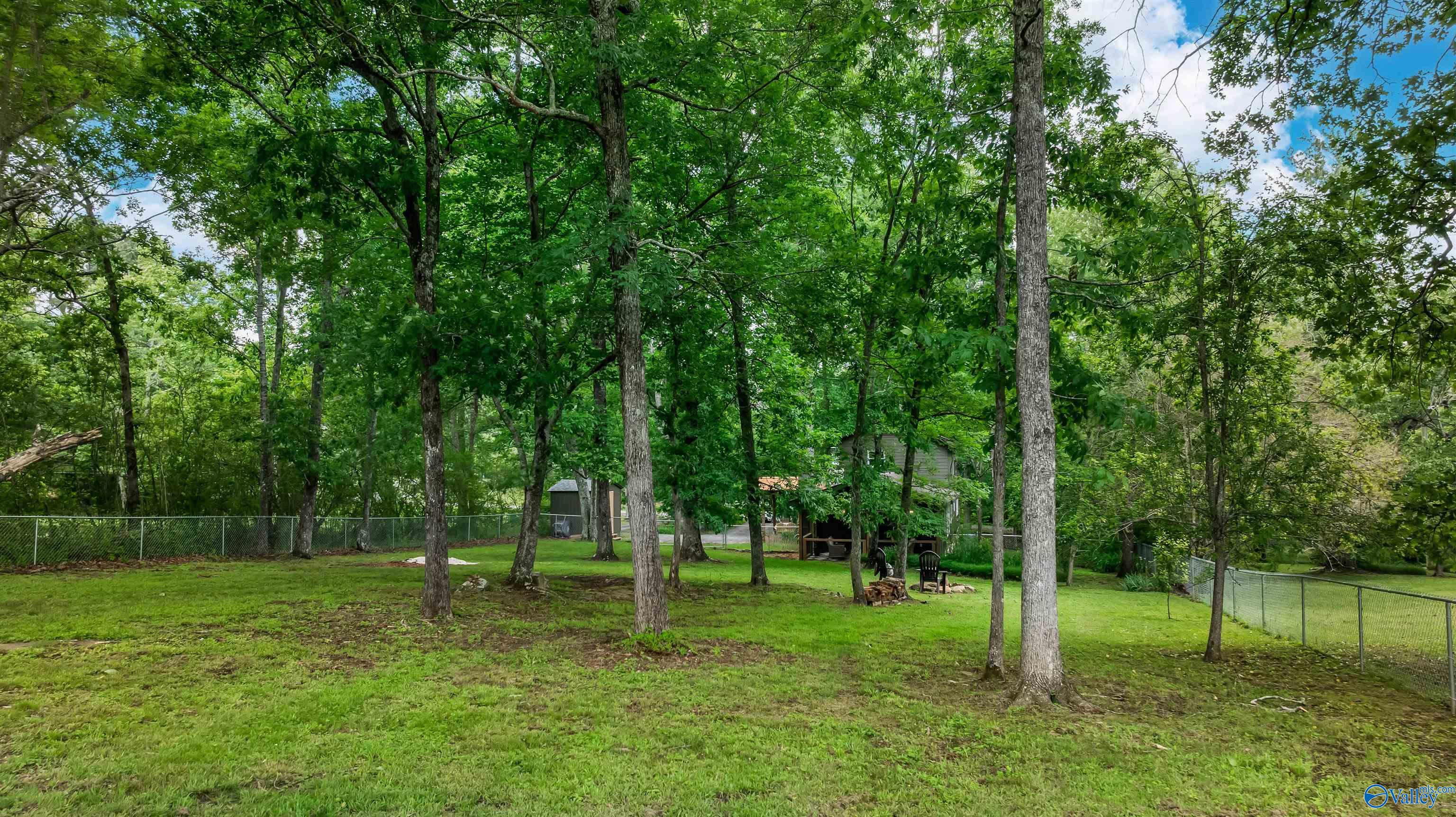 472 Cutler Avenue, Mentone, Alabama image 38