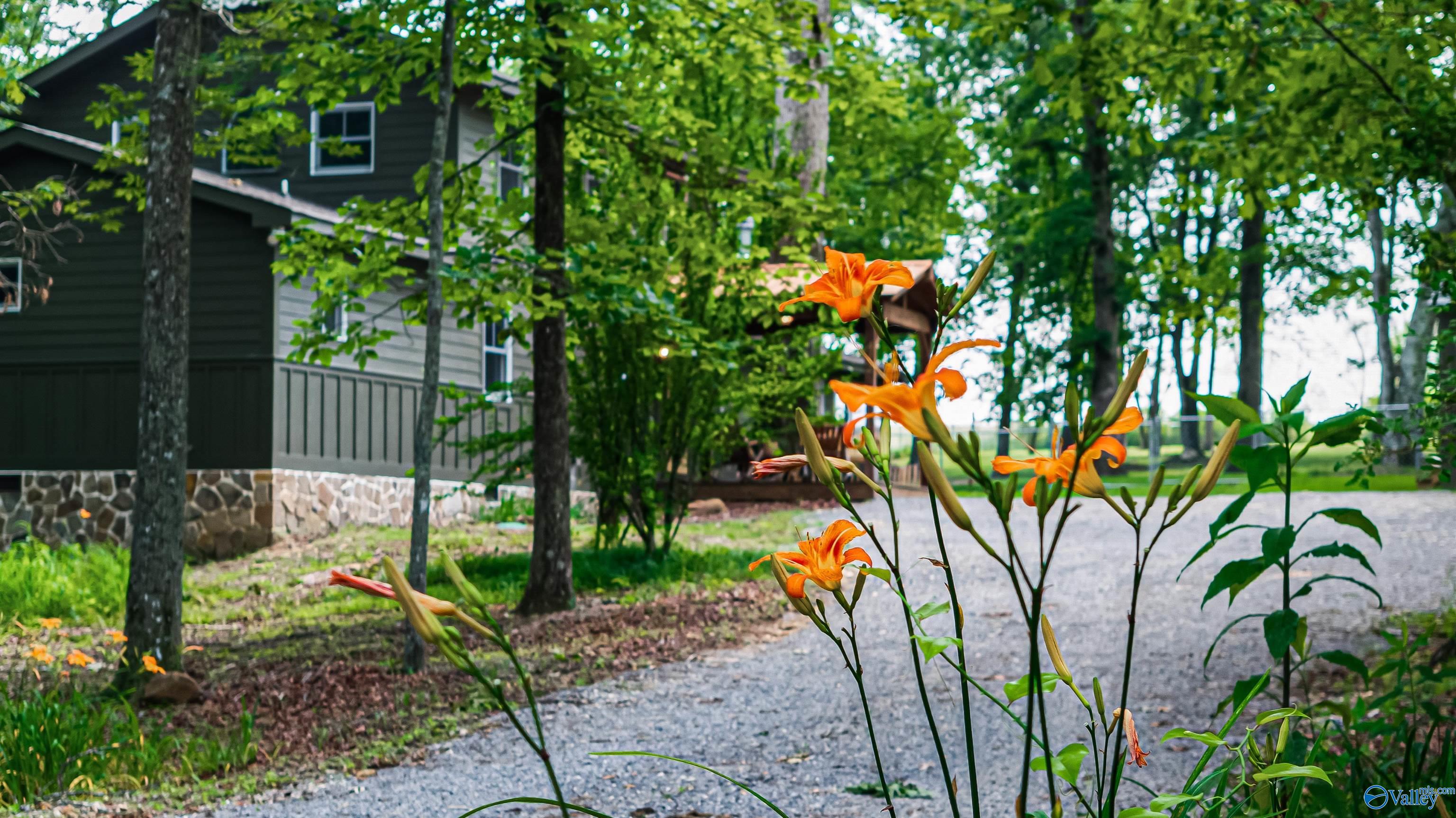 472 Cutler Avenue, Mentone, Alabama image 45