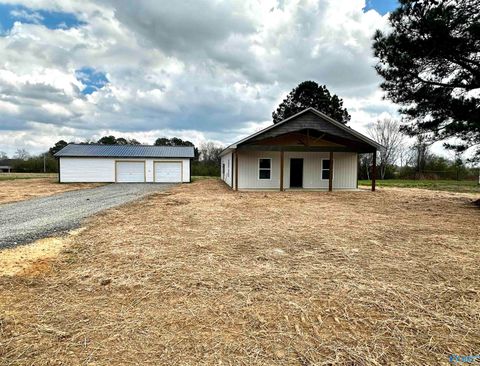Photo of 8358 County Road 19, Section, AL 35771 (MLS # 21911586)