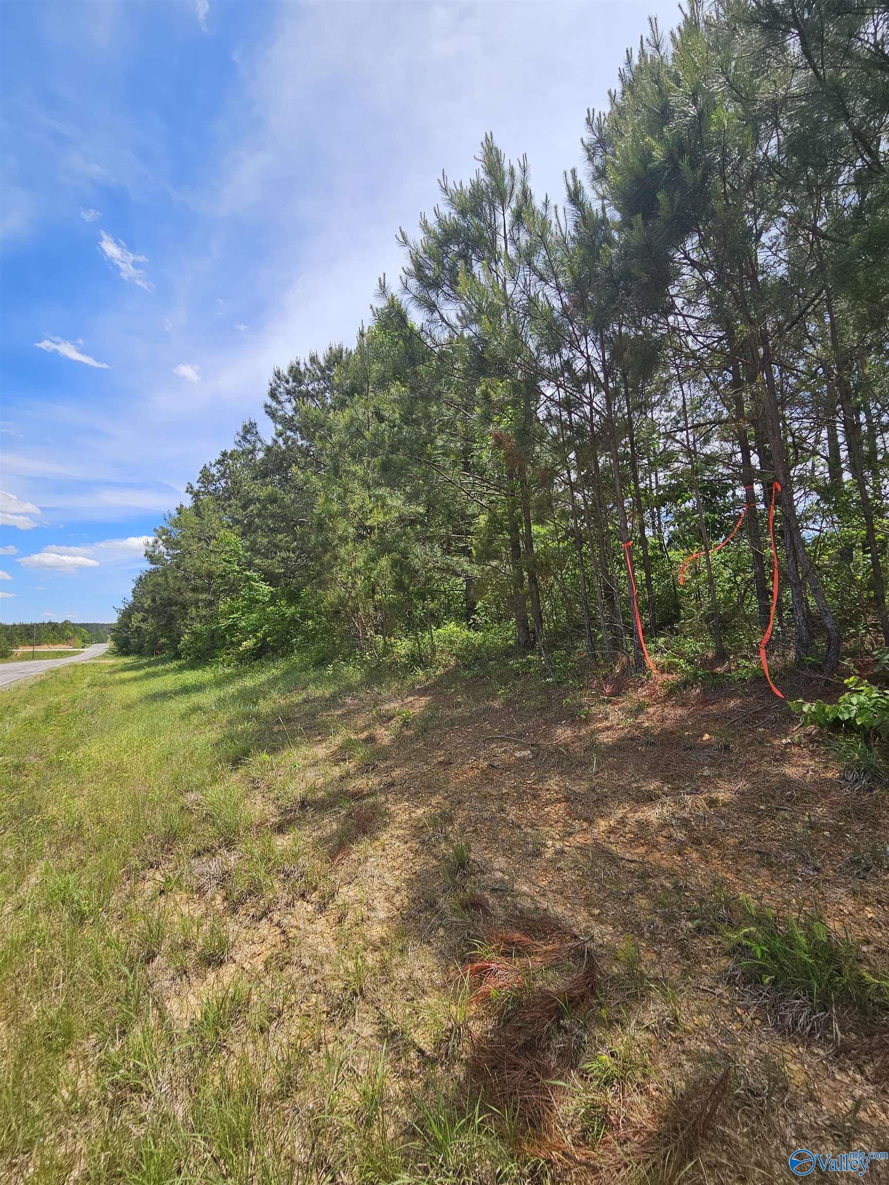 Lot 3 County Road 40, Fruithurst, Alabama image 7