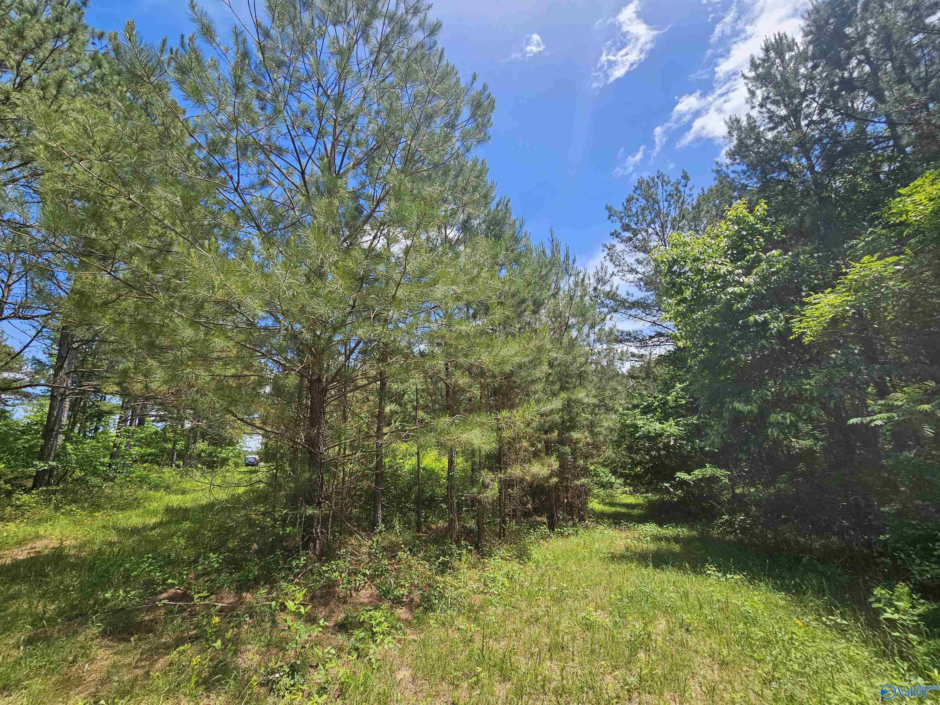 Lot 3 County Road 40, Fruithurst, Alabama image 5