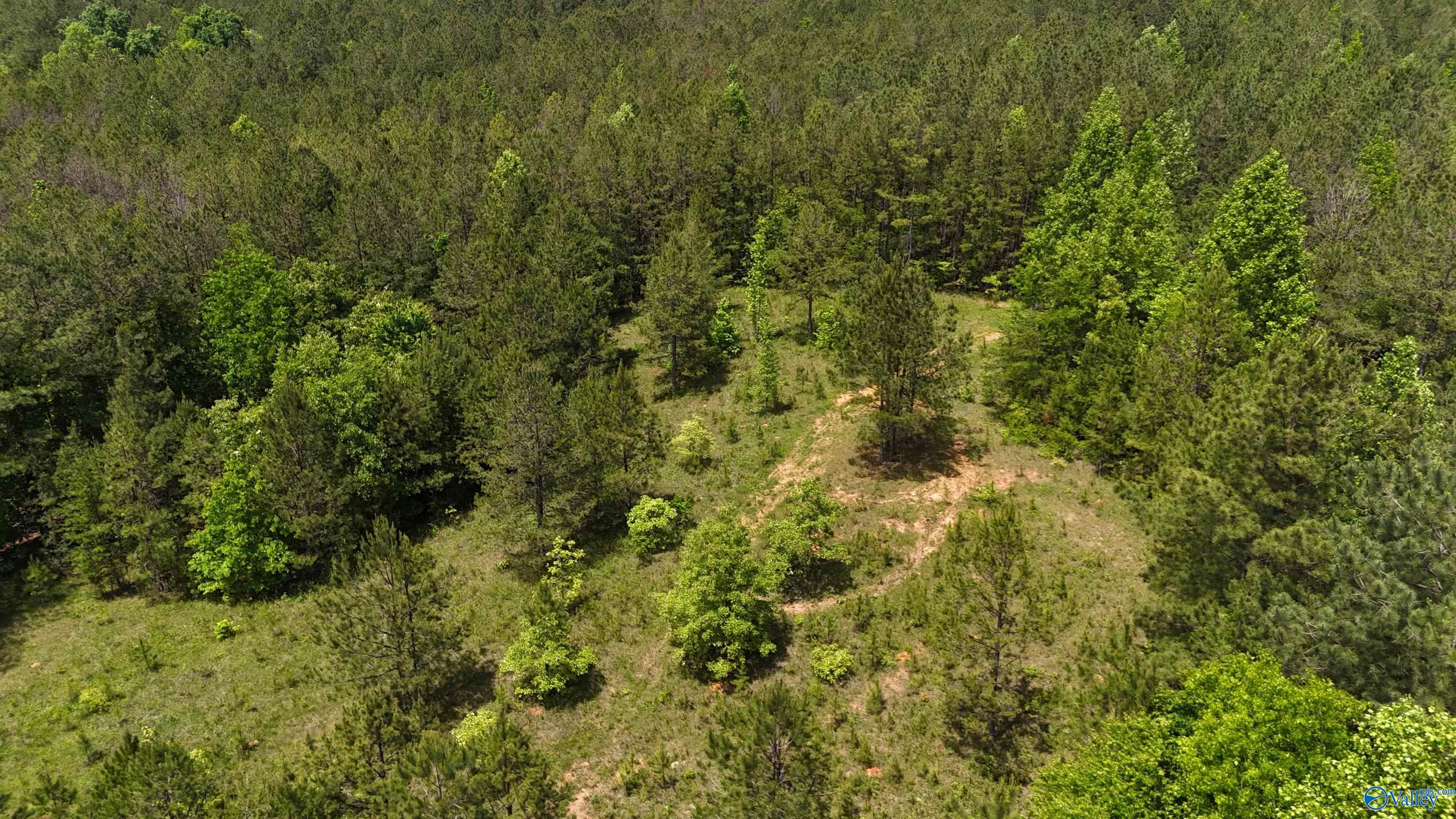 Lot 3 County Road 40, Fruithurst, Alabama image 15