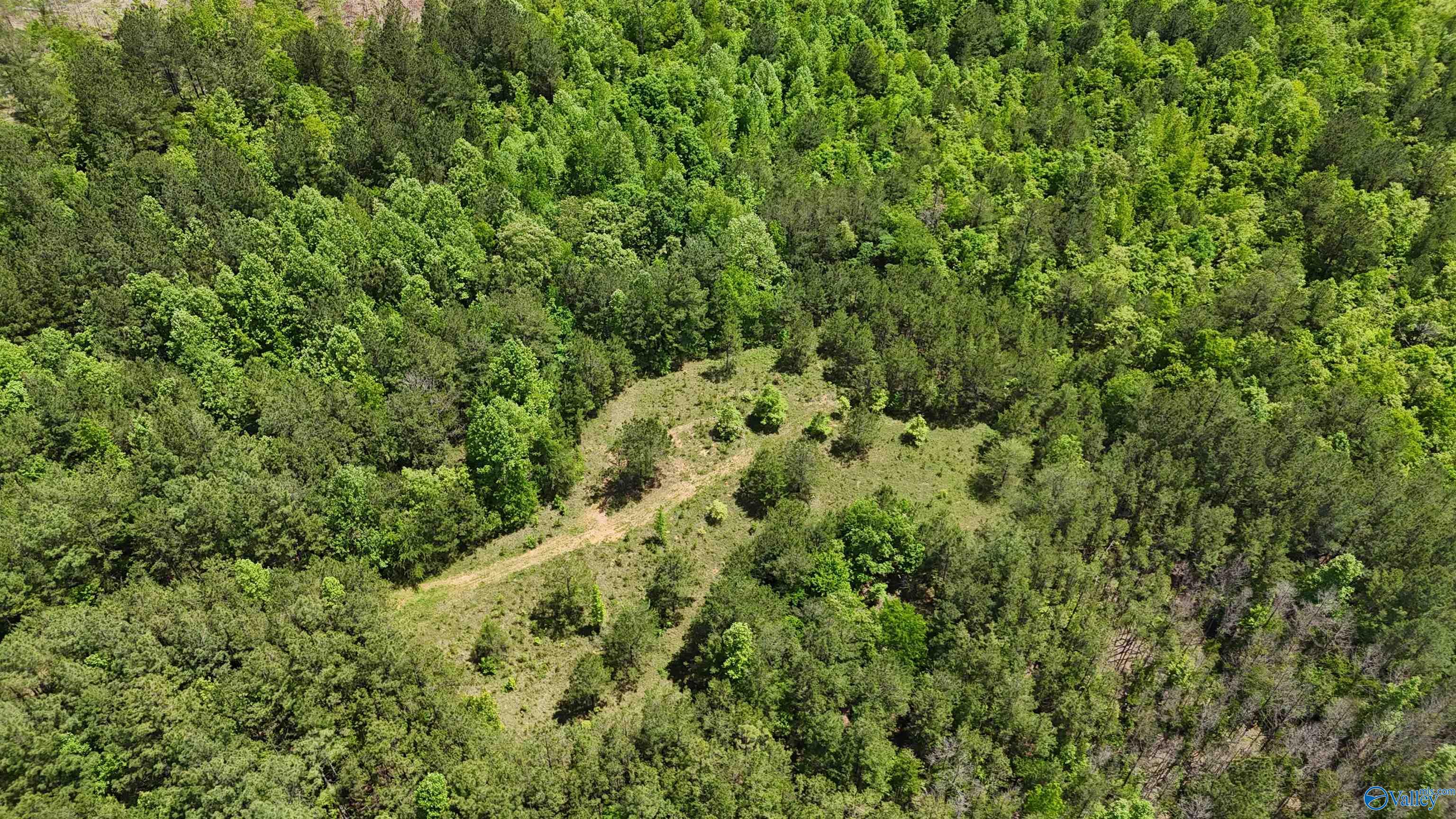 Lot 3 County Road 40, Fruithurst, Alabama image 11