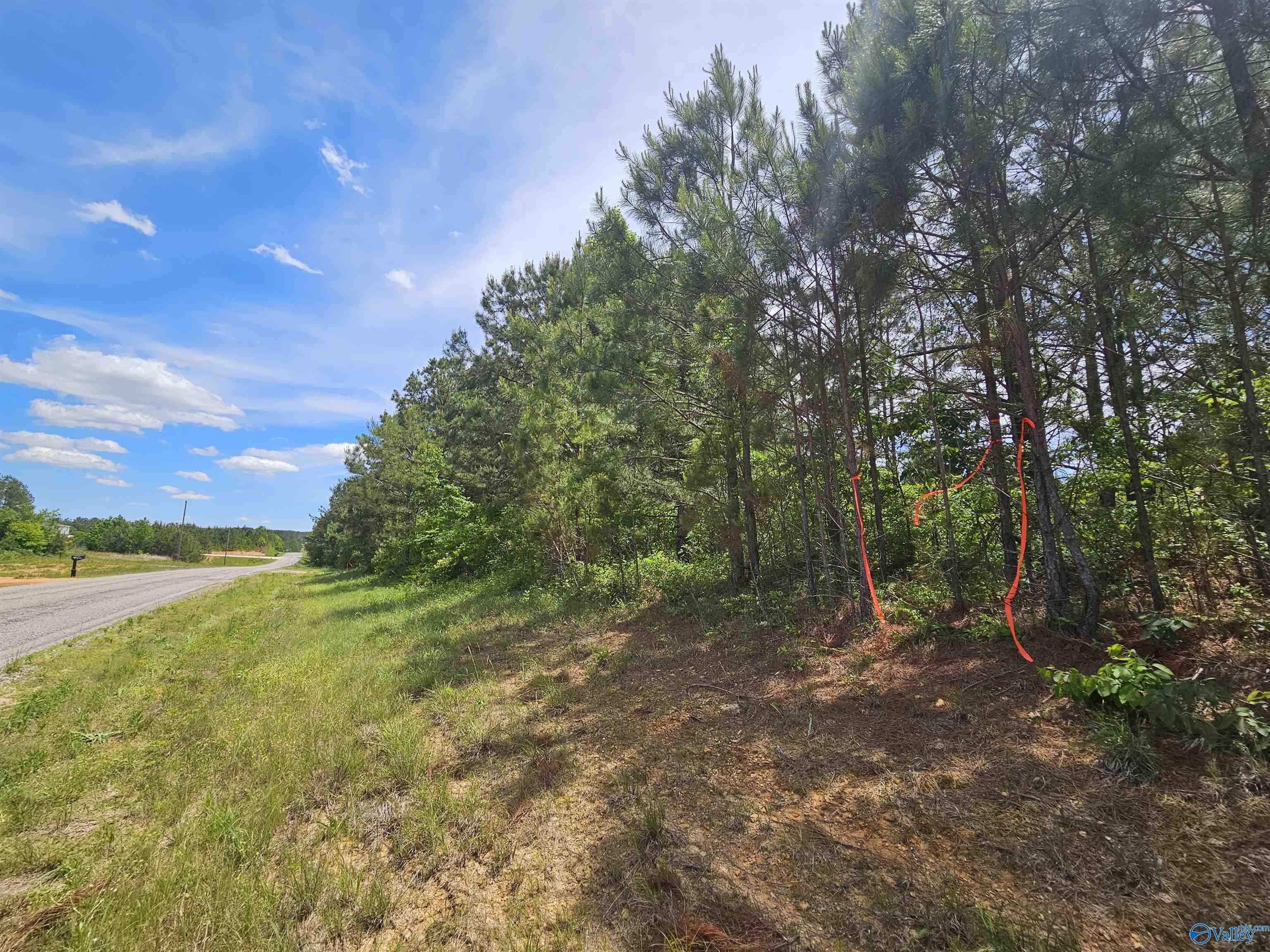 Lot 3 County Road 40, Fruithurst, Alabama image 8