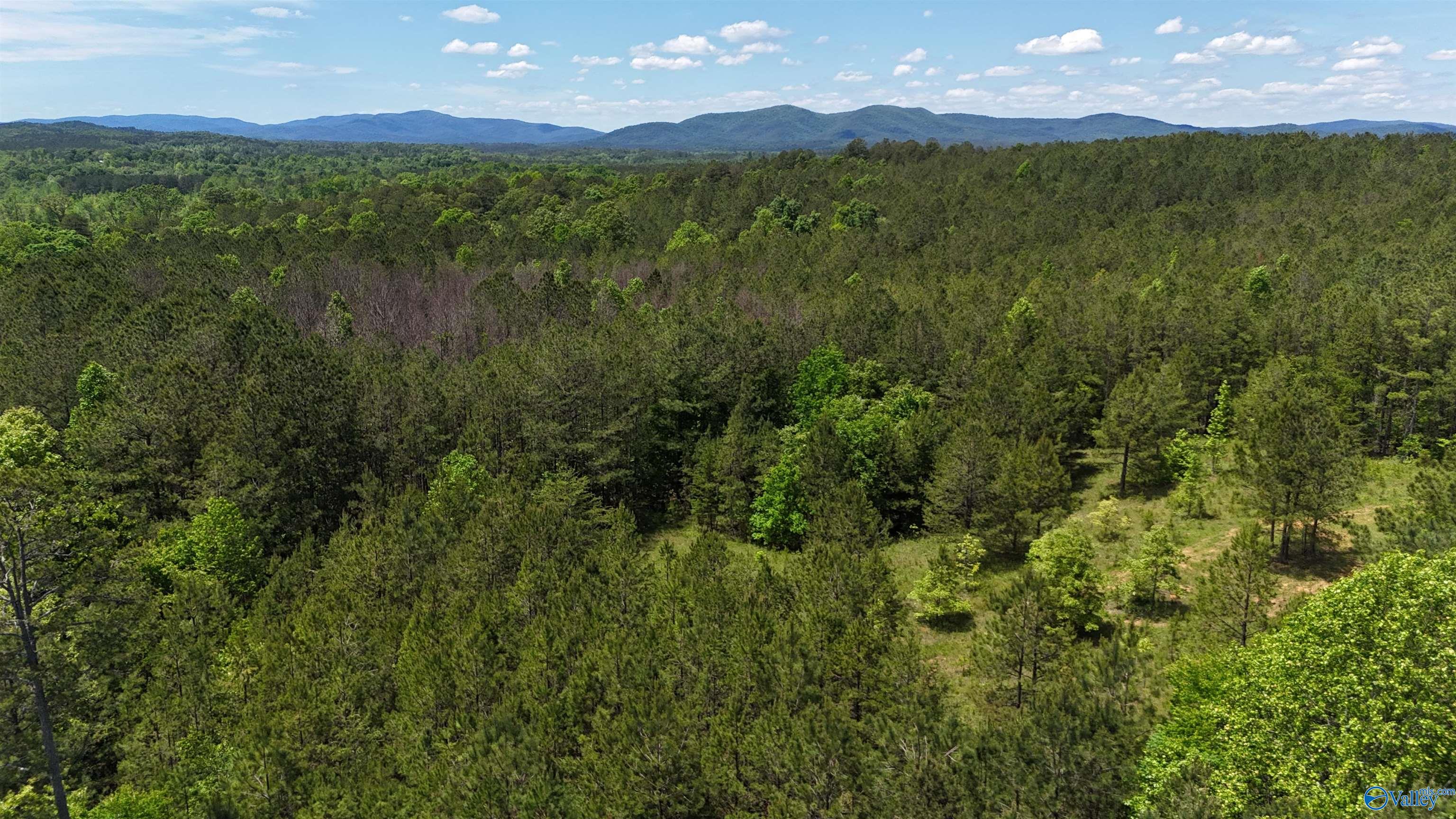 Lot 3 County Road 40, Fruithurst, Alabama image 16