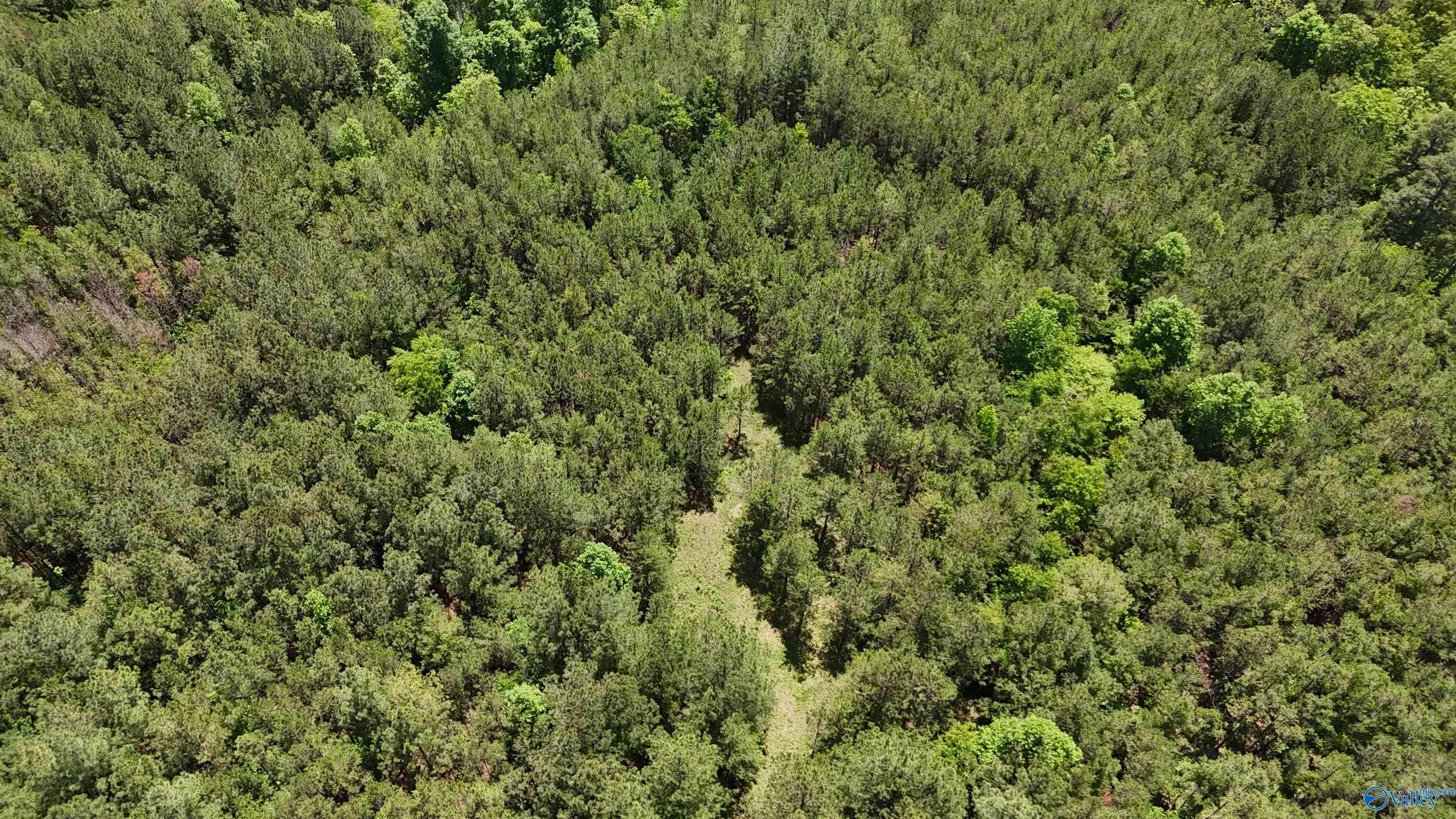 Lot 3 County Road 40, Fruithurst, Alabama image 10