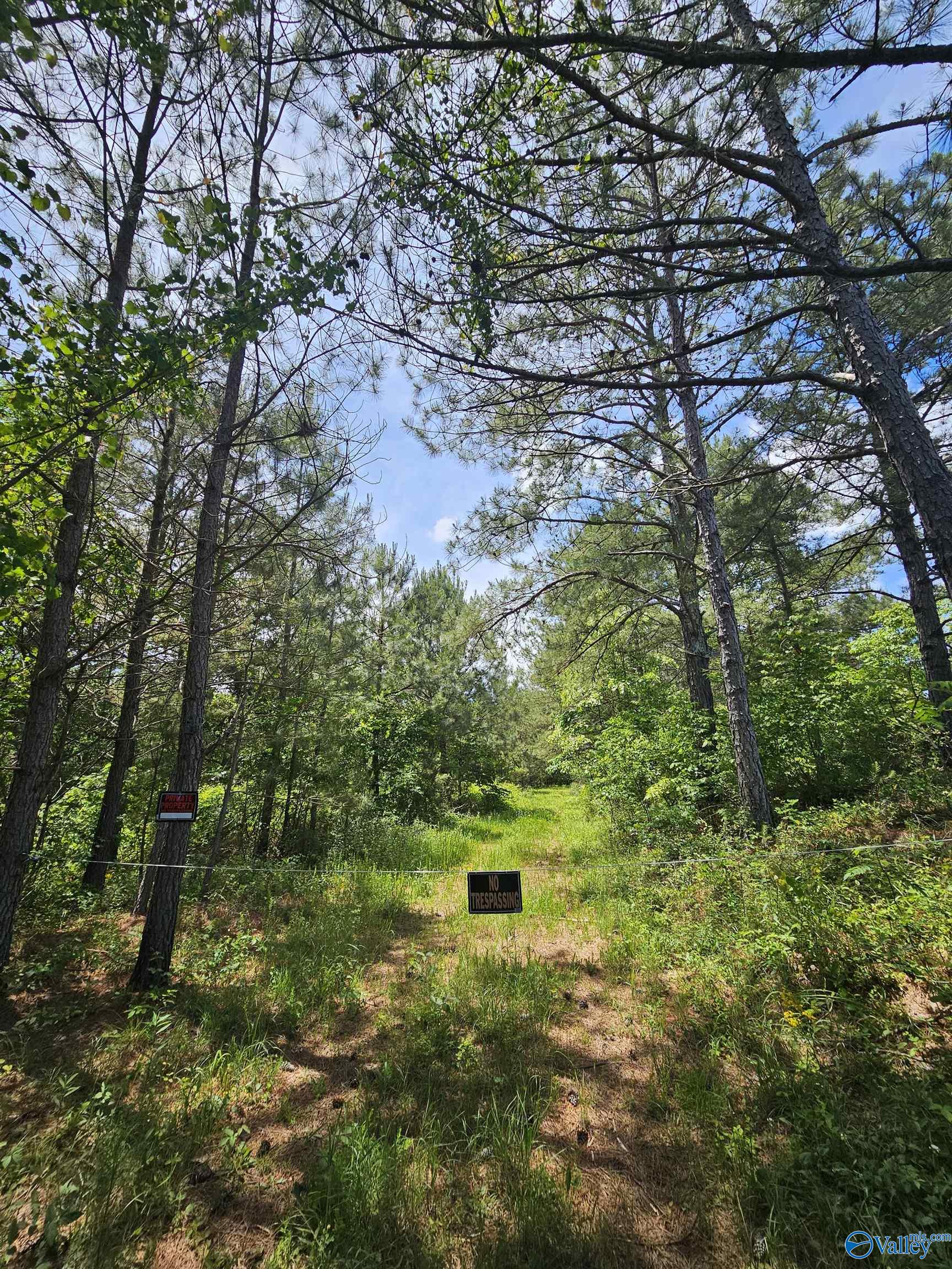 Lot 3 County Road 40, Fruithurst, Alabama image 1