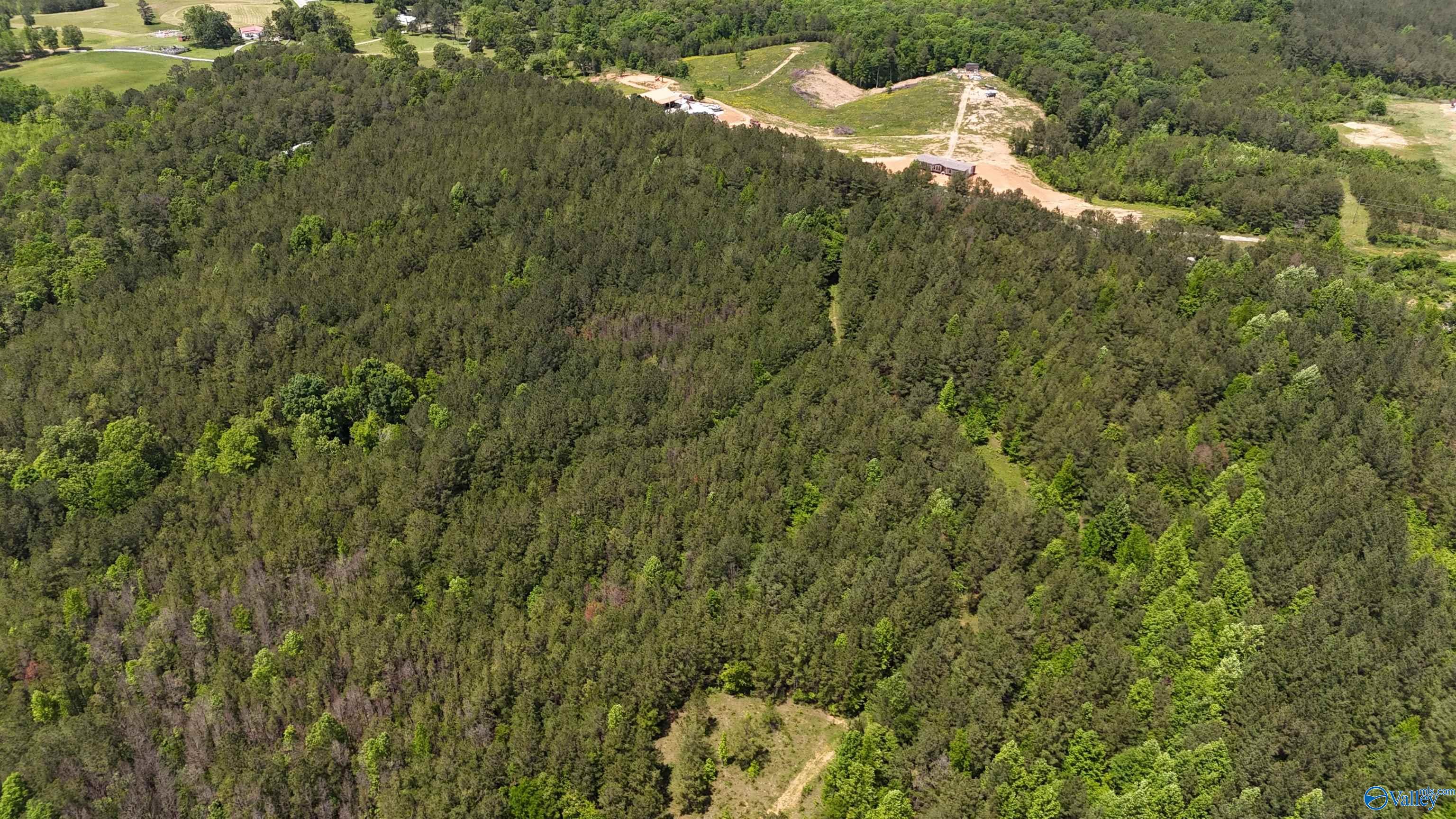 Lot 3 County Road 40, Fruithurst, Alabama image 14