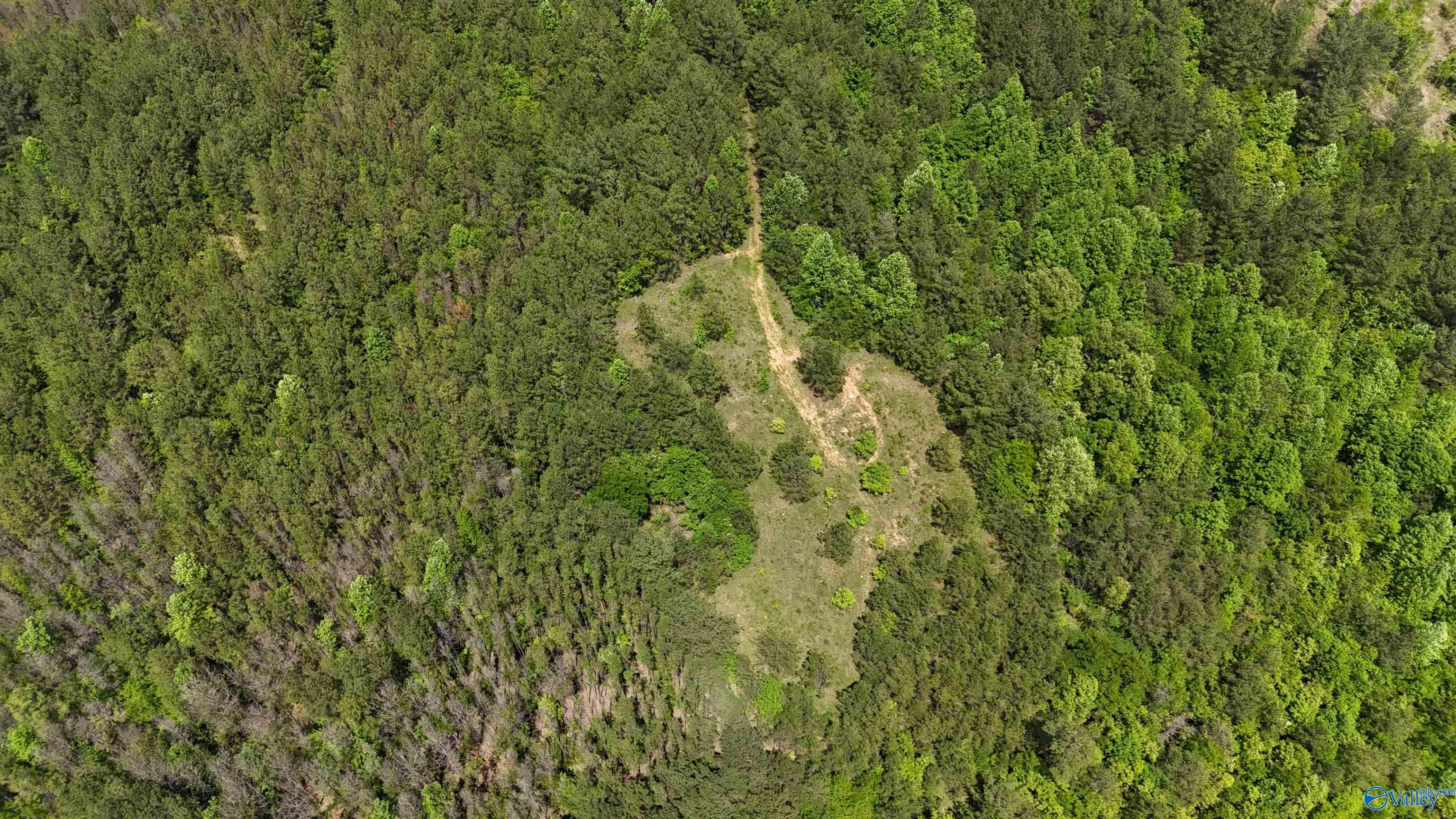 Lot 3 County Road 40, Fruithurst, Alabama image 12