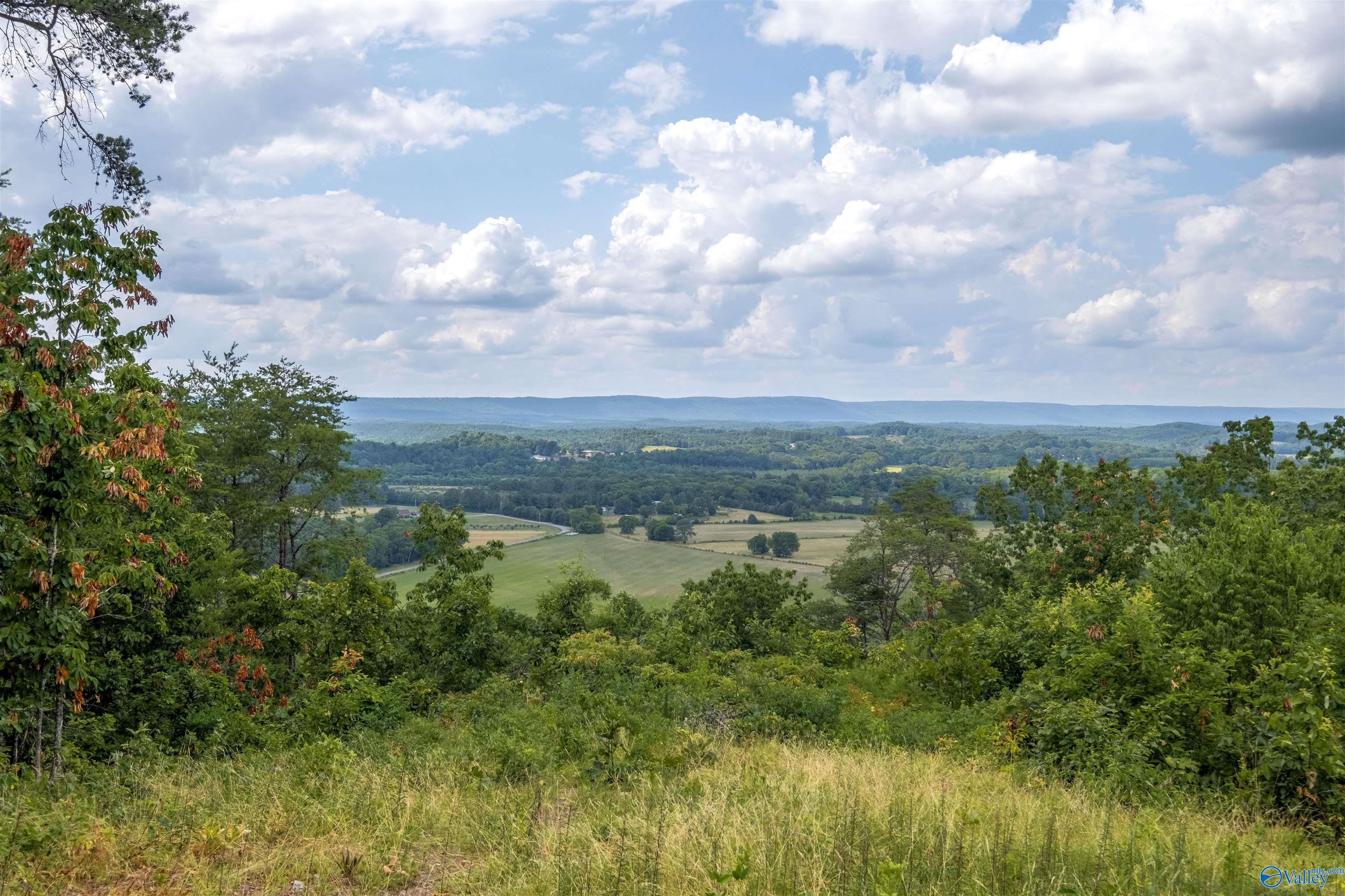 34 Acres County Road 97, Gaylesville, Alabama image 2