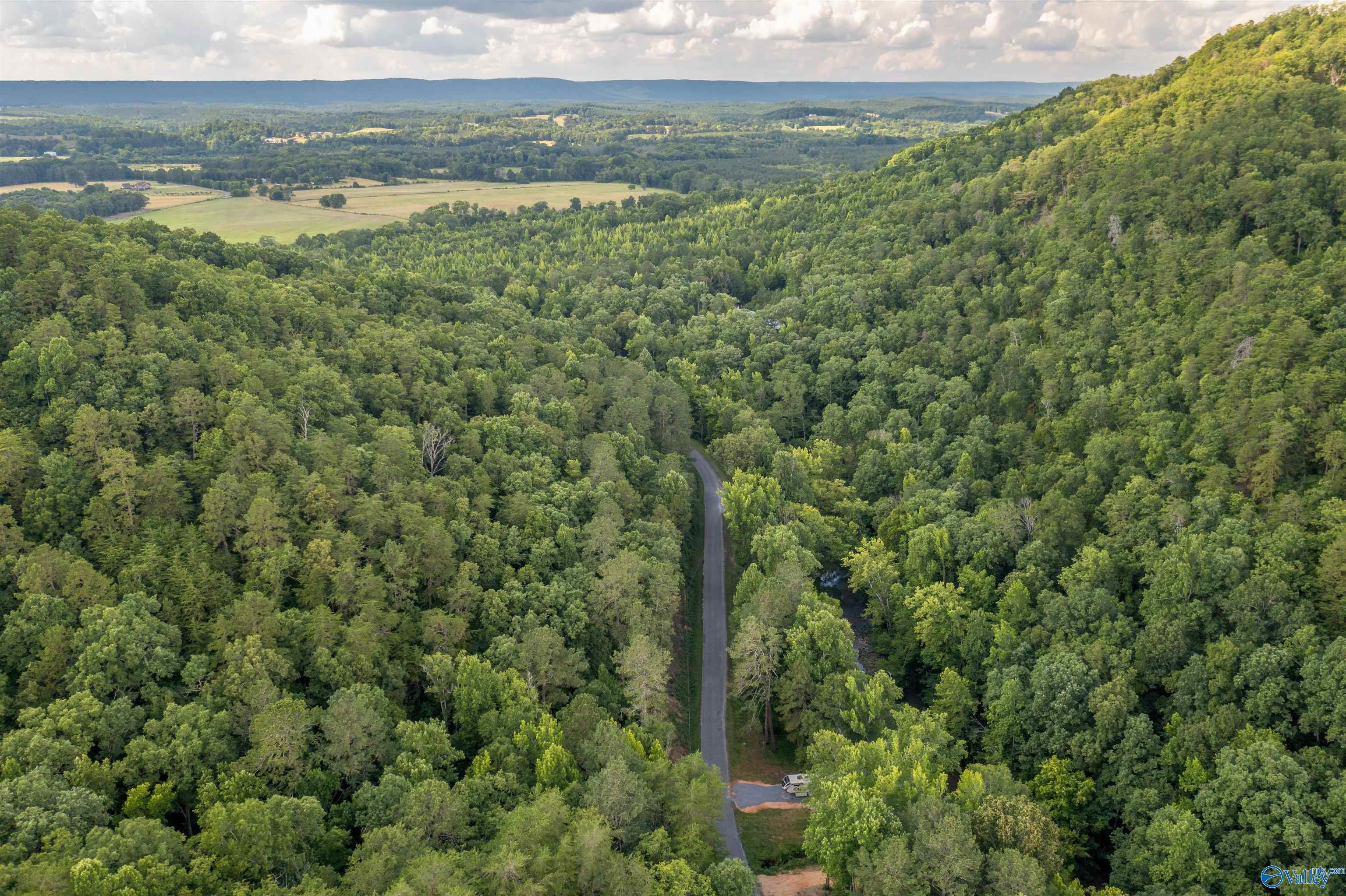 34 Acres County Road 97, Gaylesville, Alabama image 47