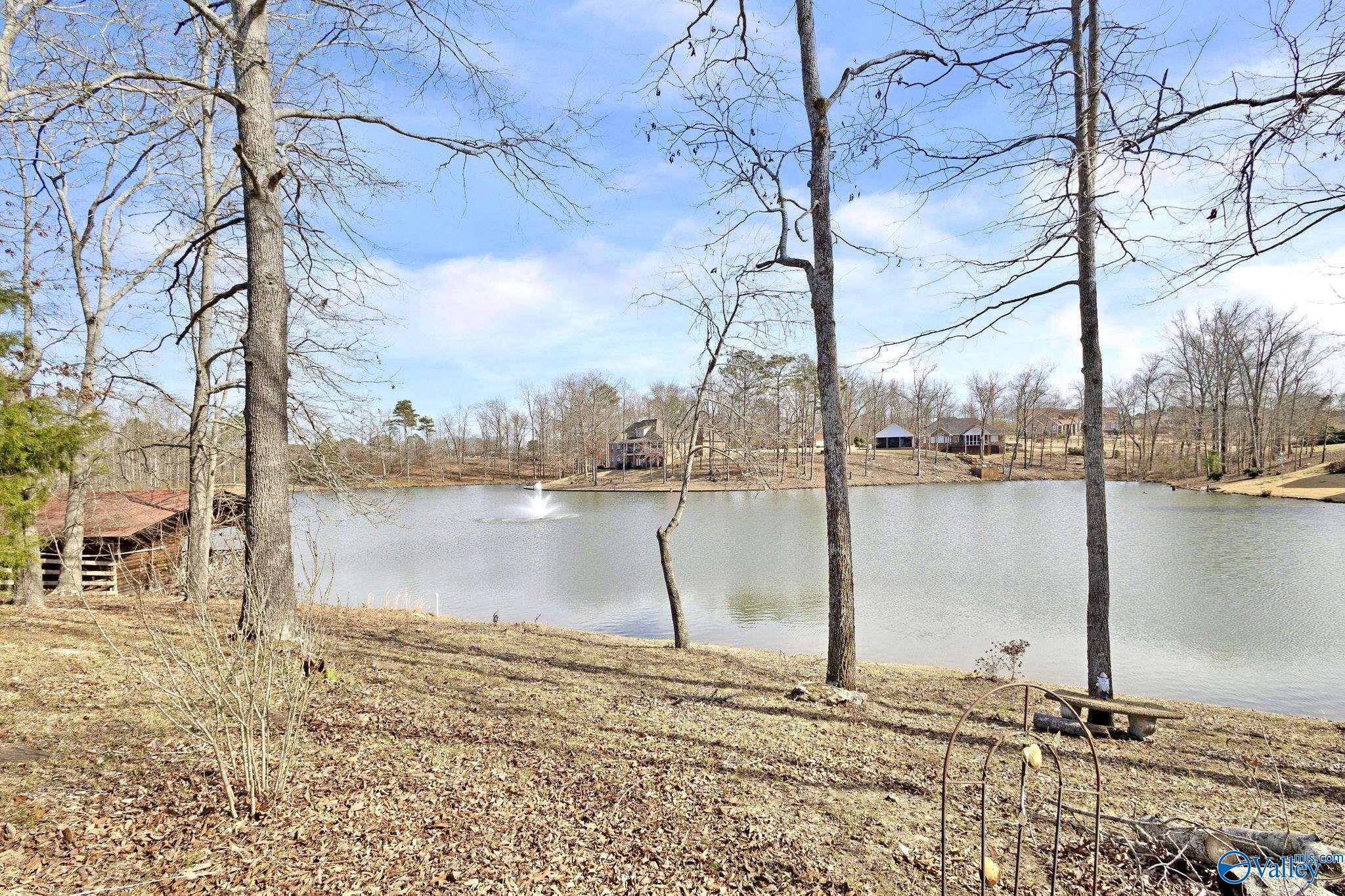 86 Paradise Drive, Boaz, Alabama image 11