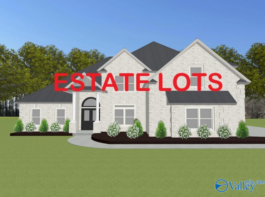 Foresthill-E Newby Chapel Road, Athens, Alabama image 1
