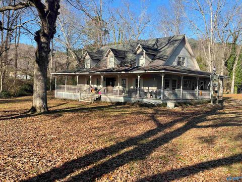 Photo of 3665 US Highway 11, Attalla, AL 35954 (MLS # 21909103)