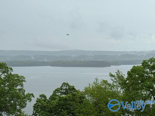 3159 Preston Island Cir, Scottsboro, Alabama image 1