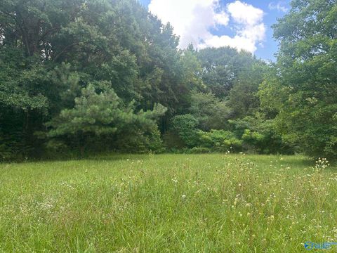 Vacant Land For Sale - 473 Section Line Road<br/> Gurley, AL 35748