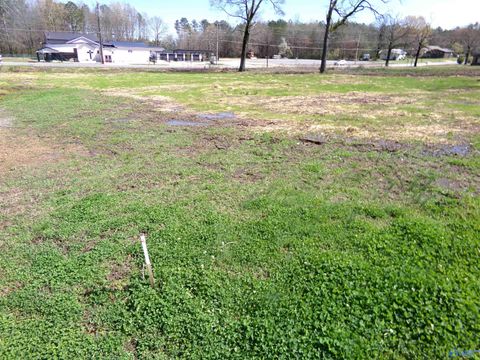 Vacant Land For Sale - 920 East Main Street<br/> Cherokee County, Centre, AL 35960
