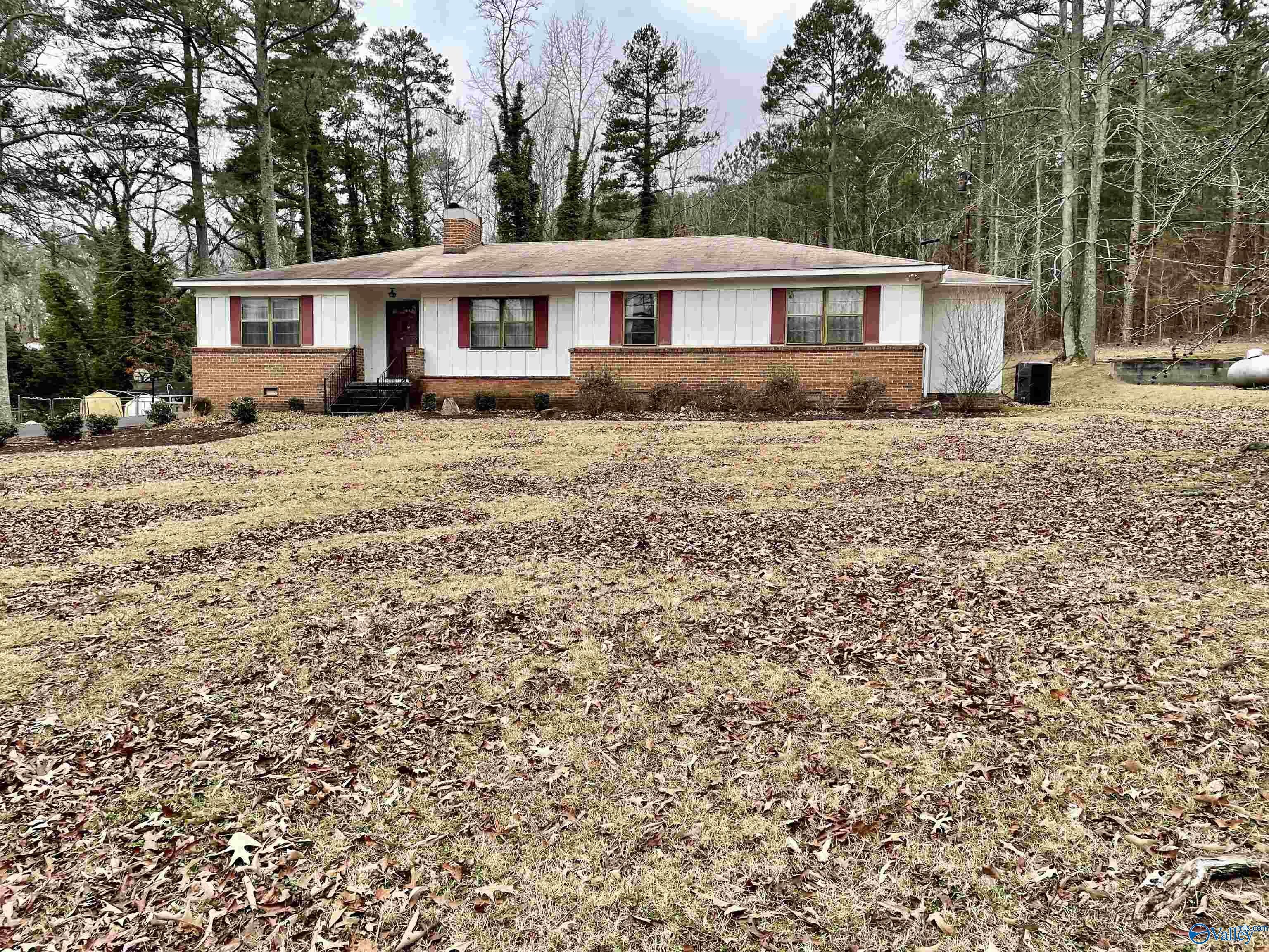 3502 Oak Avenue, Fort Payne, Alabama image 1