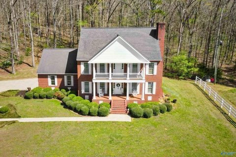 Photo of 261 Jackson Cove Road, Somerville, AL 35670 (MLS # 21913064)