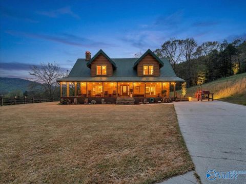 Photo of 1835 County Road 9, Estill Fork, AL 35745 (MLS # 21913938)