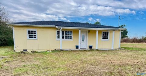 Photo of 126 County Road 396, Grove Oak, AL 35975 (MLS # 21905286)